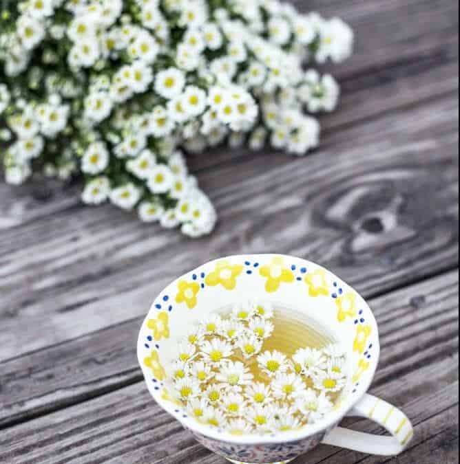 Chamomile Herbal Tea, 2 Awesome Recipes