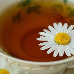 Making Chamomile Tea, 1 Great Recipe
