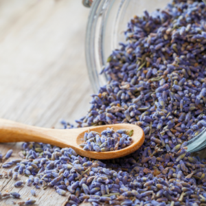 The Benefits of Lavender Tea