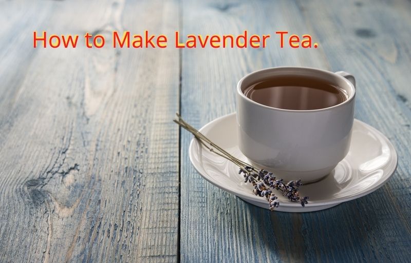 How to Make Lavender Tea.
