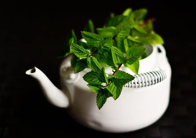 health benefits of mint tea