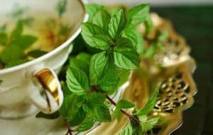 Herbal Medicinal Tea