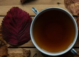 Rose Hips tea, The #1 Delicious Tea