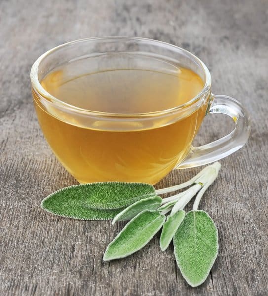 Sage Tea benefits