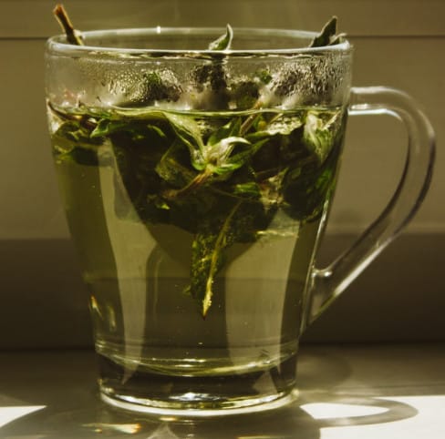 Why green tea is good