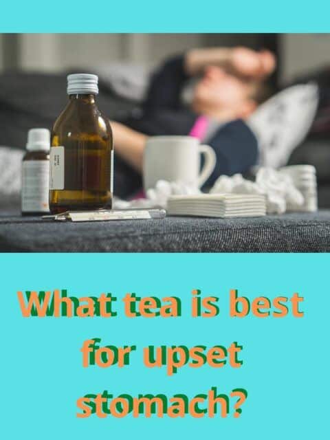 what-tea-is-best-for-upset-stomach-7-blissful-teas-tea-jubilee