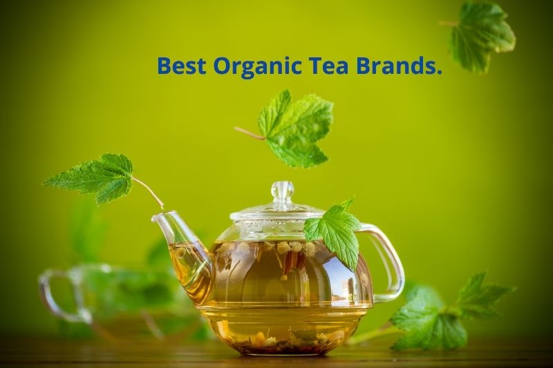 best-organic-tea-brands-9-of-the-greatest-teas-tea-jubilee