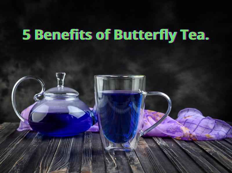 5 Benefits of Butterfly Tea. 1 magical tea.