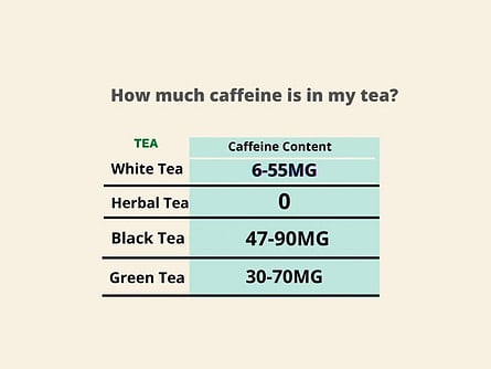 The Highest Caffeine Tea Brands