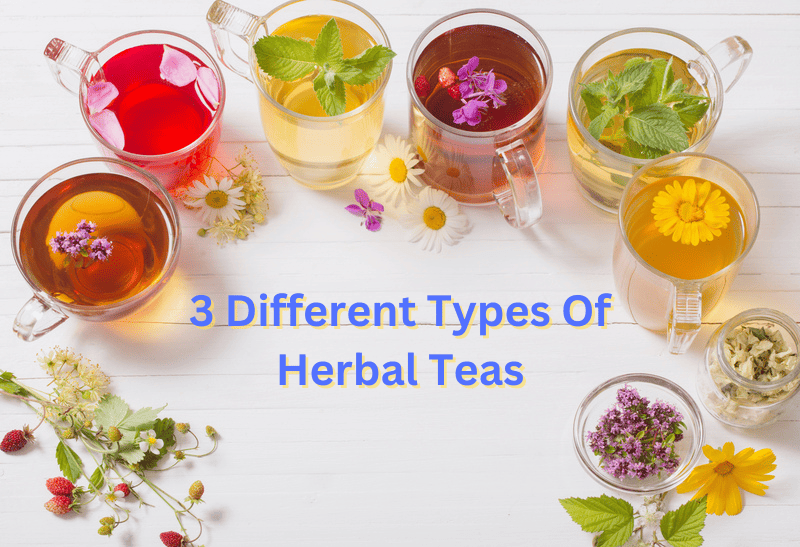 3 Different Types Of Herbal Teas