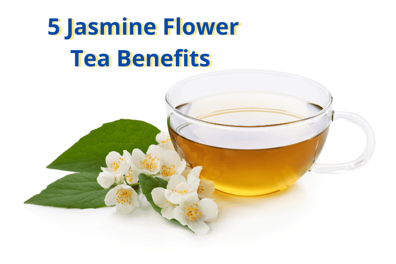5 Jasmine Flower tea Benefits