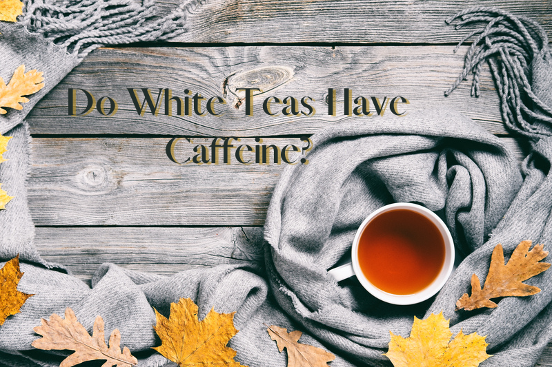 Do White Teas Have Caffeine? 1 powerful tea