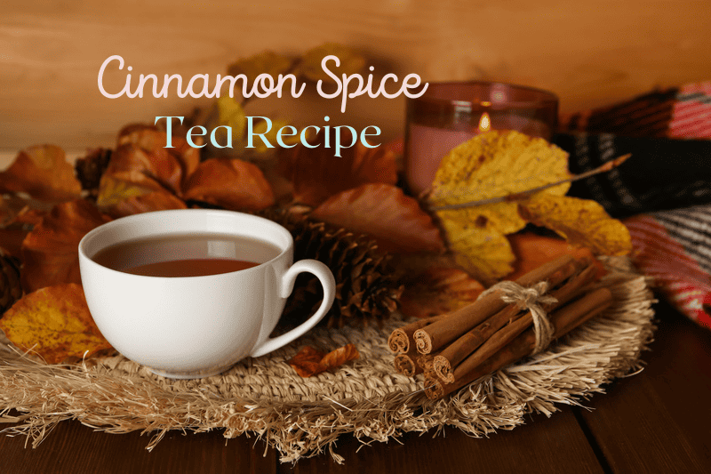 Cinnamon Spice Tea Recipe