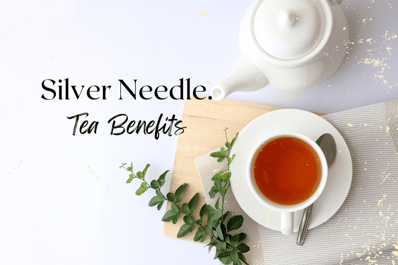 Sliver Needle Tea Benefits