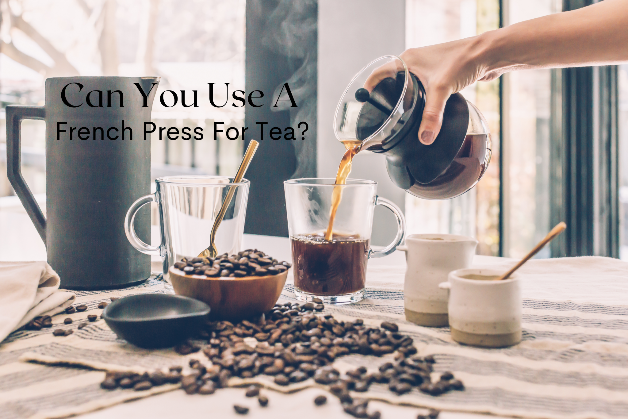 Can You Use A French Press For Tea? 5 blissful ideas.