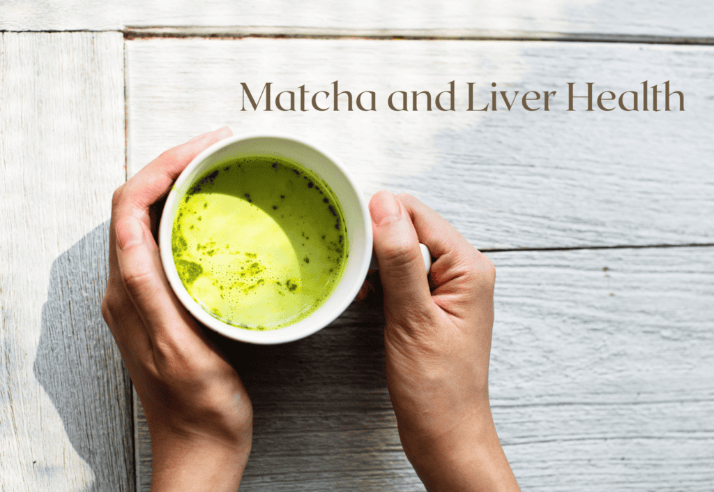 Matcha and Liver Health. Exploring the 3 Benefits of this tea Tea Jubilee