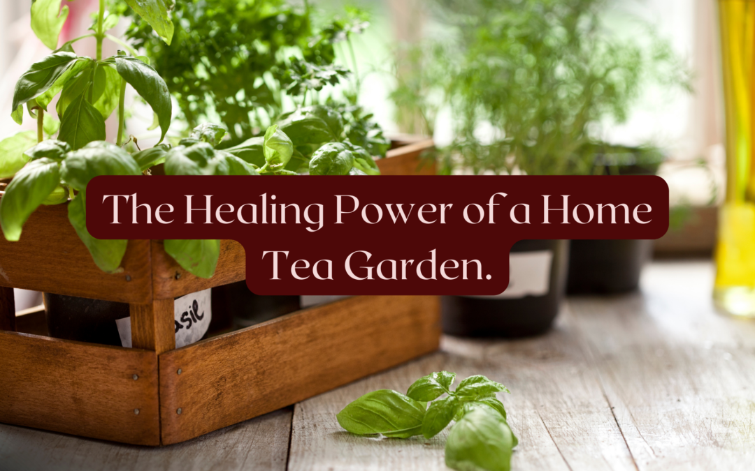 The Healing Power of a Home Tea Garden 6 great things