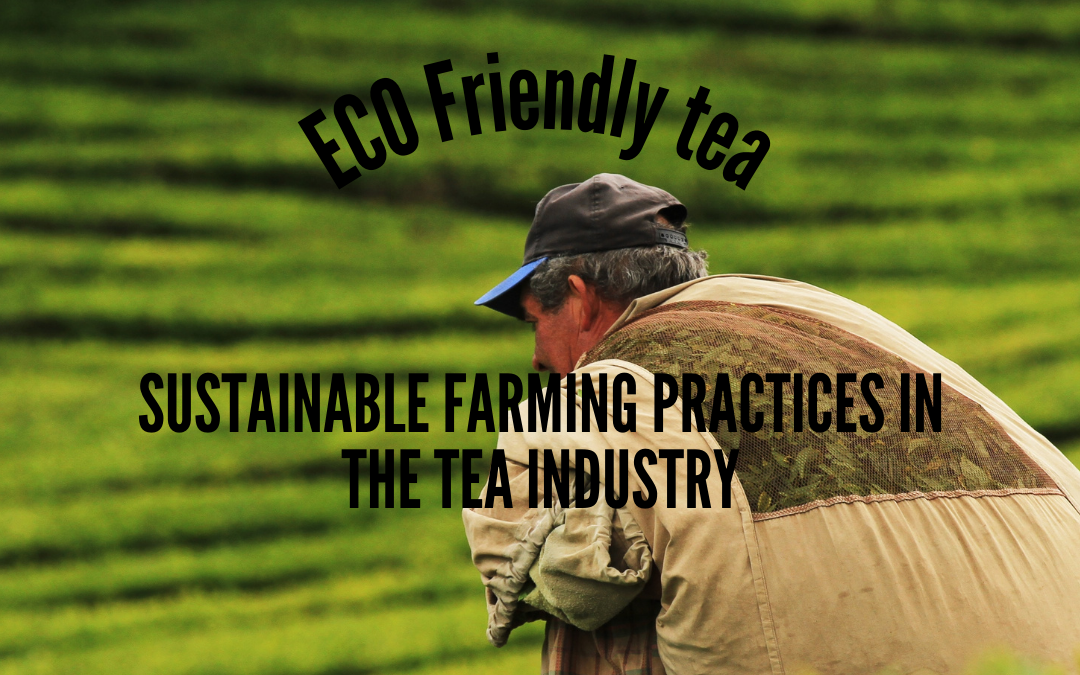 Sustainable Farming Practices In The Tea Industry